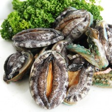 참전복8-9미 (1kg 8마리~9마리)